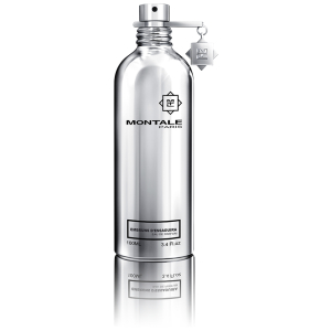 Perfume Montale Embruns D'Essaouira EDP Unisex