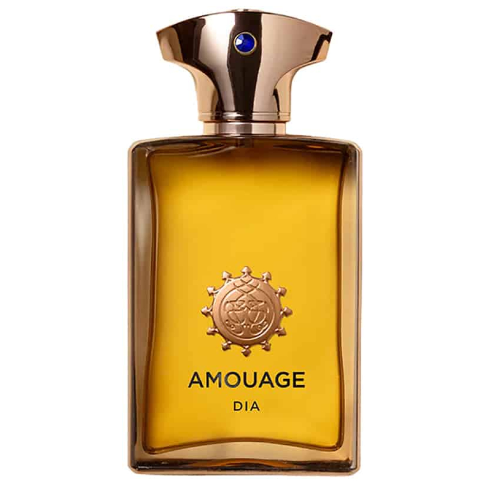 Perfume Amouage Dia EDP Hombre