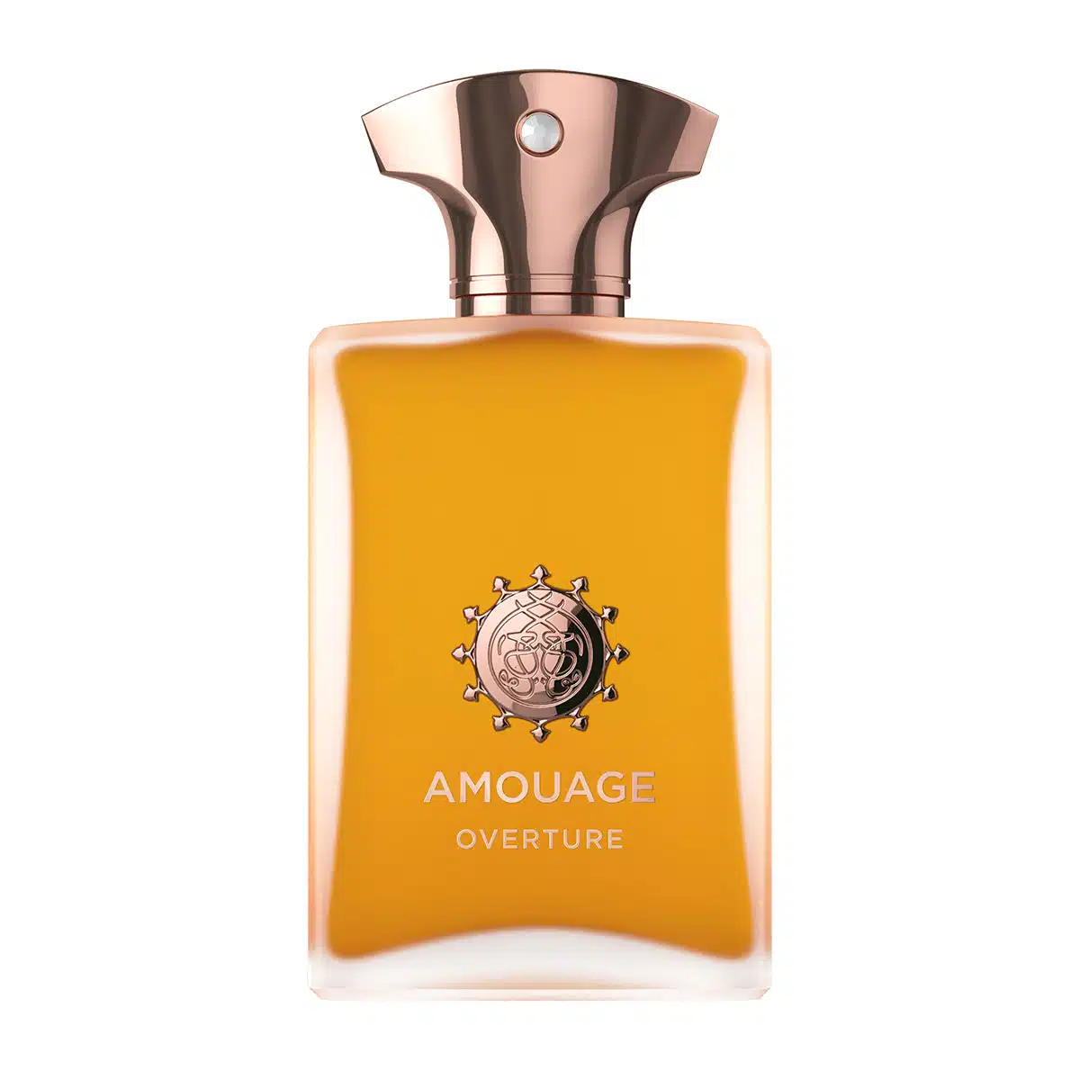 Perfume Amouage Overture EDP Hombre