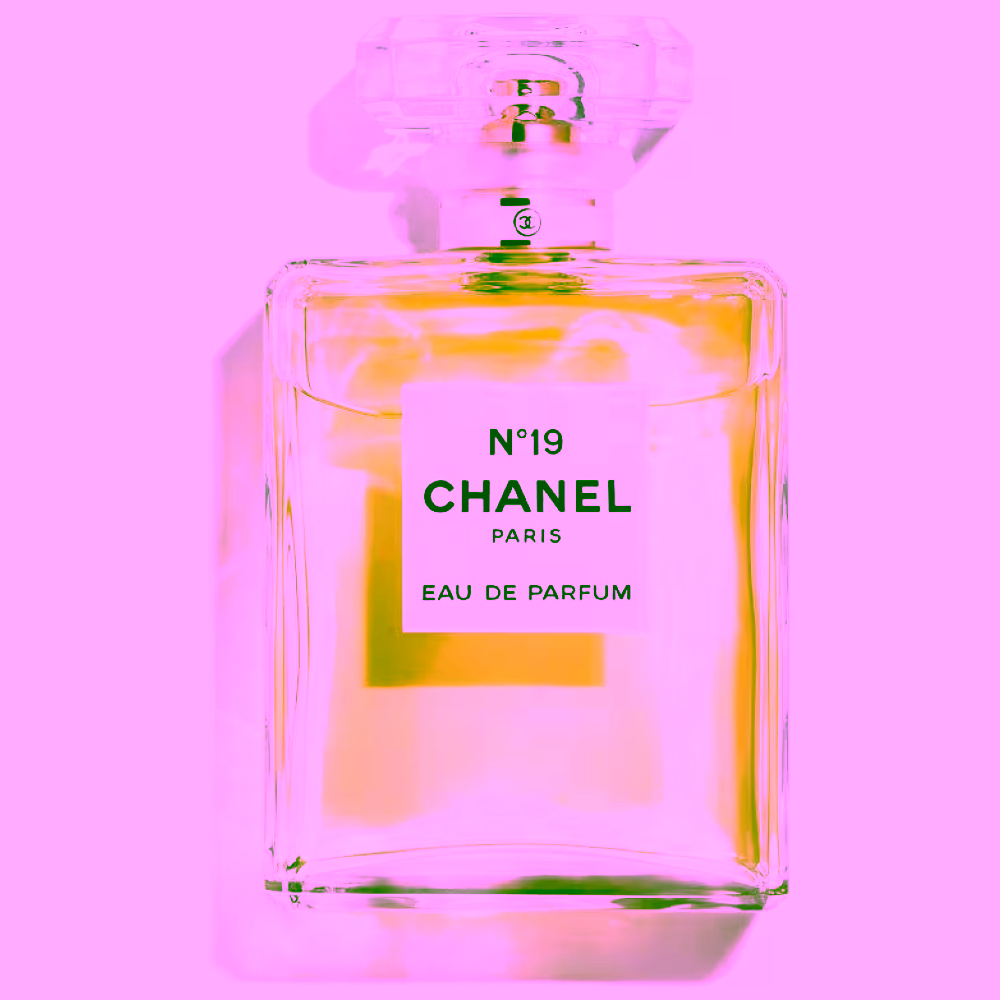 Perfume Chanel N° 19 EDP Mujer