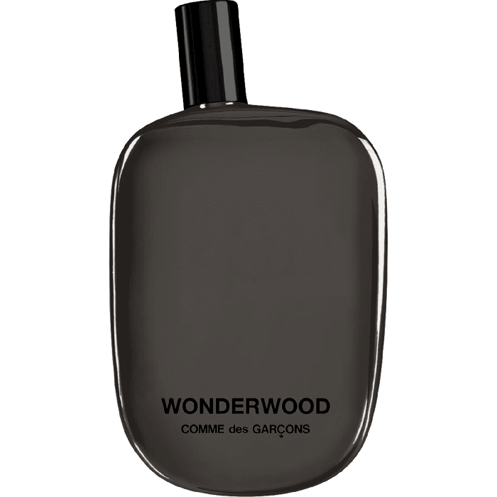 Perfume Comme Des Garcons Wonderwood EDP Hombre