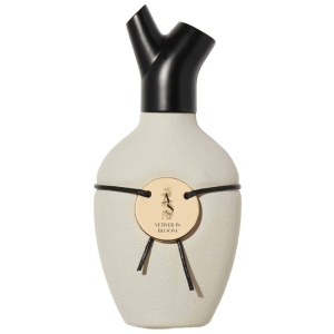 Perfume Scents of Wood Vetiver in Bloom EDP Unisex